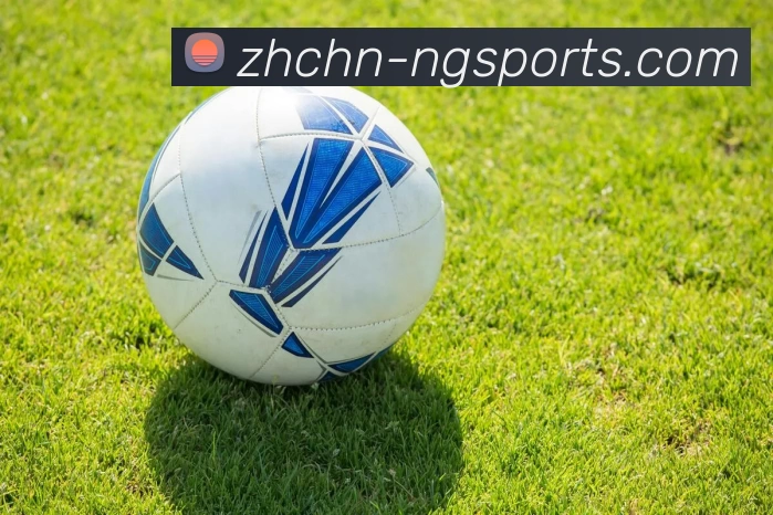 ng体育平台生态图