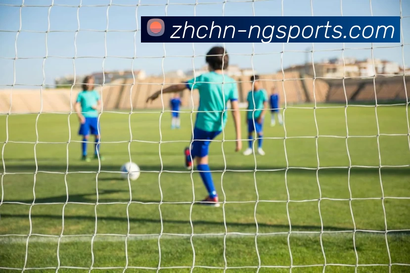 ng体育APP 封面图